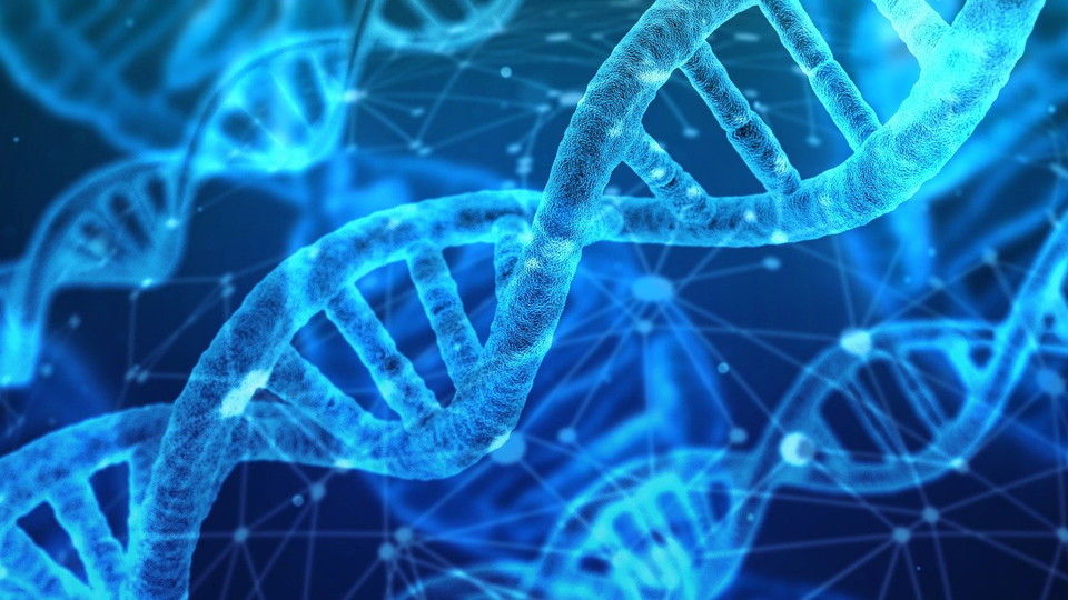 '동성애 성향을 결정하는 단일한 유전자가 없다'는 말을 '동성애는 선천적이지 않다'로 읽는 건 심각한 논리 비약이다.