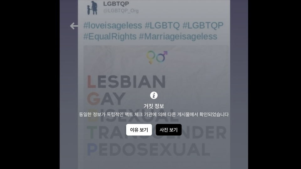 페이스북은 소아성애가 성소수자 커뮤니티(LGBT)에 포함된다는 주장에 '거짓 정보'라는 딱지를 붙였다. 페이스북 갈무리