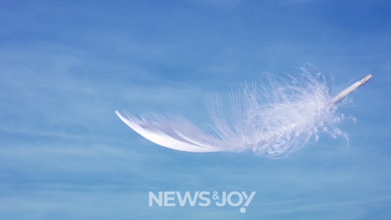 각오하고 들어간 신대원에서 두 학기 만에 그만두게 됐다. 