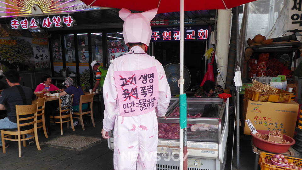 기독교인이자 동물권 활동가인 사이는 