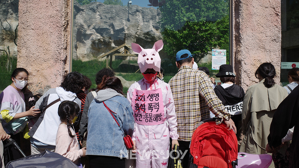 동물권 운동을 하다 보면 차가운 반응에 부딪힐 때도 있다. 사이 활동가는 