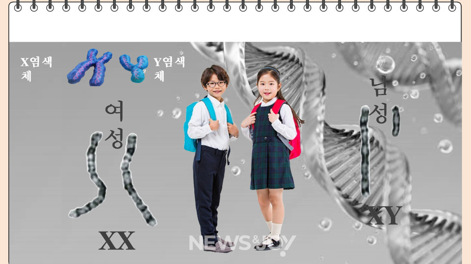 넥스트클럽이 초등학교에서 사용하는 강의안 일부. 뉴스앤조이 자료 사진