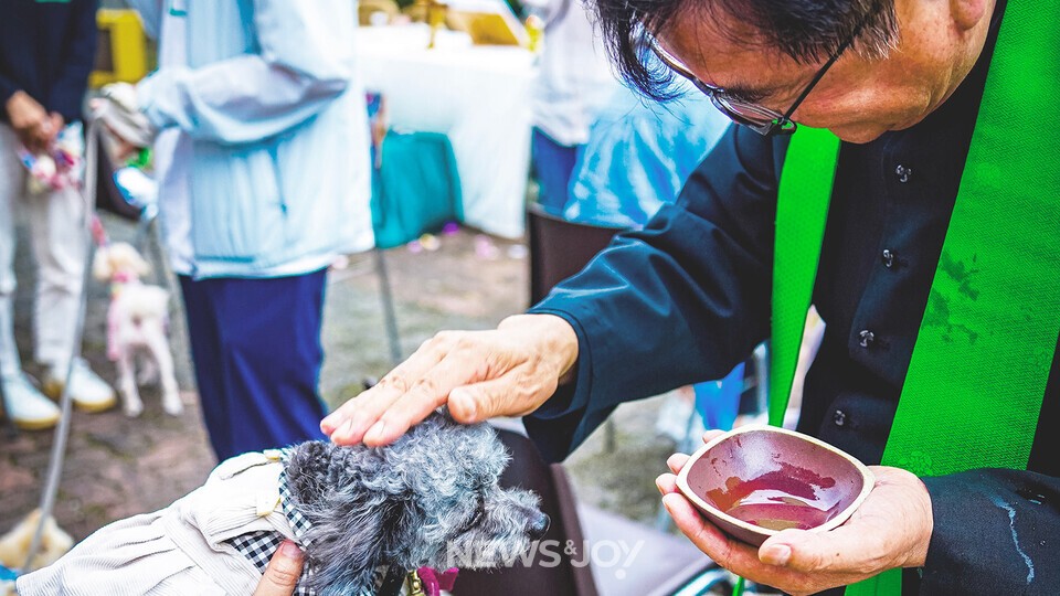 10월 12일 성 프란치스코 축일을 맞아 대한성공회 서울주교좌성당에서 '반려동물 축복식'이 열렸다. 개신교 성직자들이 참석한 동물들을 축복했다. 사진 제공 대한성공회 서울주교좌성당