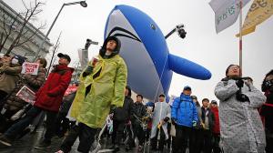 '세월호 고래' 제작한 건축가의 고백