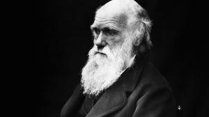 교회 안 불편한 단어 '진화'