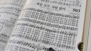 사랑 없는 까닭에