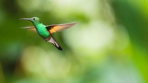 코로나 시대, 우리가 되새겨야 할 '마리아의 노래'