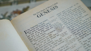 창세기에서 '출 바벨론'을 보다