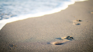 여성들이 오기로 목회하지 않을 수 있게