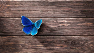 교회 개혁, '흐츠파'와 '겸허'의 마음으로