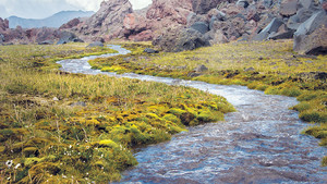 멈춰 서서 깊이 묵상하고, 깨어 있는 채로 흘러가는 순례의 삶