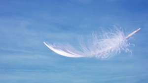 남자였다면 '날아다녔을' 전도사, 여성이라는 이유로 날개 꺾이다