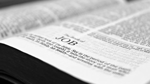 "타인에게 특정 삶 강요할 수 없다는 메시지 담은 욥기…정통 신앙 강조하며 성소수자 탄압하면 하나님께 거부당할 것"