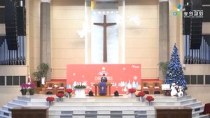 거짓말, 늦은 사과, 그리고 내로남불