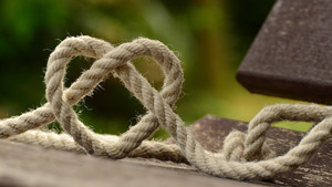 유기체 중심의 생태신학을 넘어, 존재 지평의 '사물신학'으로