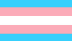 성별 이분법 아닌 '트랜스젠더' 관점으로 읽는 성서