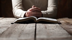 법률 비용 마련을 위한 특별 모금에 동참해 주십시오