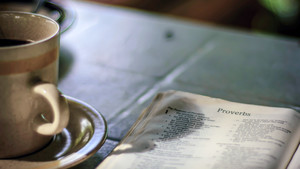 일상을 깨우는 잠언 신학의 정수