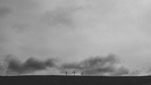 이 폐허에 동참하라