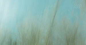 [성령강림절 후 다섯째 주일] 경계를 넘는 마음