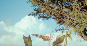 [성령강림절 후 일곱째 주일] 너희는 기도할 때에