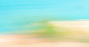 [성령강림절 후 열째 주일] 평화를 주러 온 줄로 생각하느냐