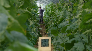 [주간 처치독] "나그네를 사랑하라" 이주 노동자 위한 교회의 역할