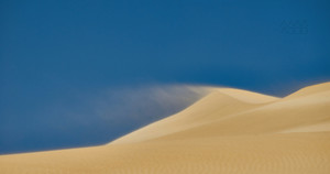 [성령강림절 후 열한째 주일] 흔들리지 않는 것