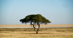 [창조절 첫째 주일] 쓸모 있는 사람