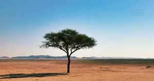 [창조절 둘째 주일] 찾는 이의 마음