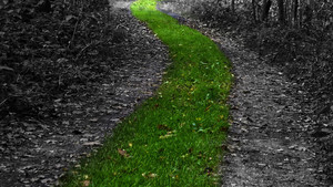 기후 위기 시대에는 '기후 생태 헌법'을