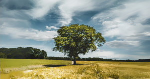 [창조절 다섯째 주일] 무익한 종
