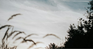 [성령강림절 후 열여덟째 주일] 구원은 변방에서부터