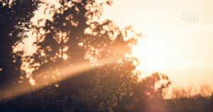 [성령강림절 후 스물두째 주일] 살아 있는 사람의 하나님이시다