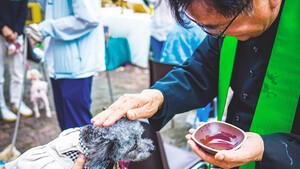 강아지로부터 받은 축복
