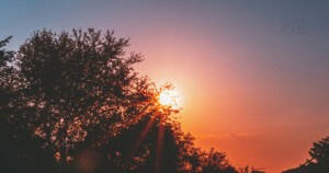 [왕이신 그리스도 주일] 너는 그리스도가 아니냐